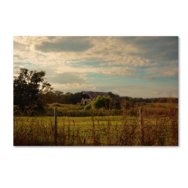 Trademark Fine Art Jai Johnson 'Rusty Barn At Sunset' Canvas Art, 16x24 ALI14104-C1624GG